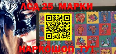 шишки Нарткала