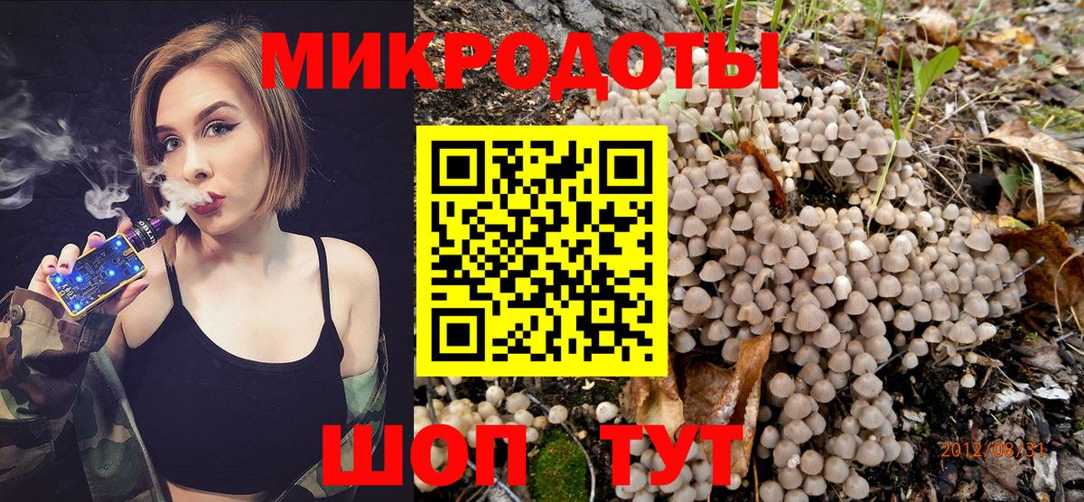 Галлюциногенные грибы Cubensis  Вход с VPN  Славянск-на-Кубани 